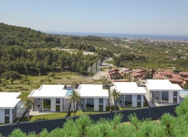 Luxury villas with the possibility of obtaining Turkish citizenship, Oba, Alanya, 450-490 m2 ID-6022 фото-22