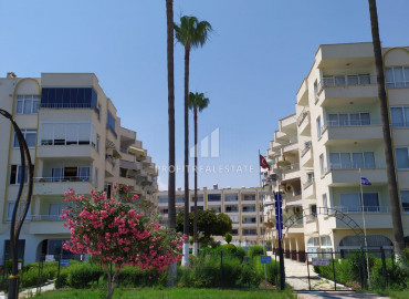Furnished two bedroom apartment in Tece in a residence with a swimming pool, 50 meters from the sea ID-9266 фото-28