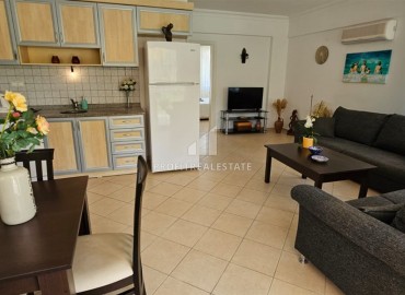 Трехкомнатная квартира с отдельным входом и террасами, меблированная, Кемер, Анталия, 120 м2 ID-14598 фото-6