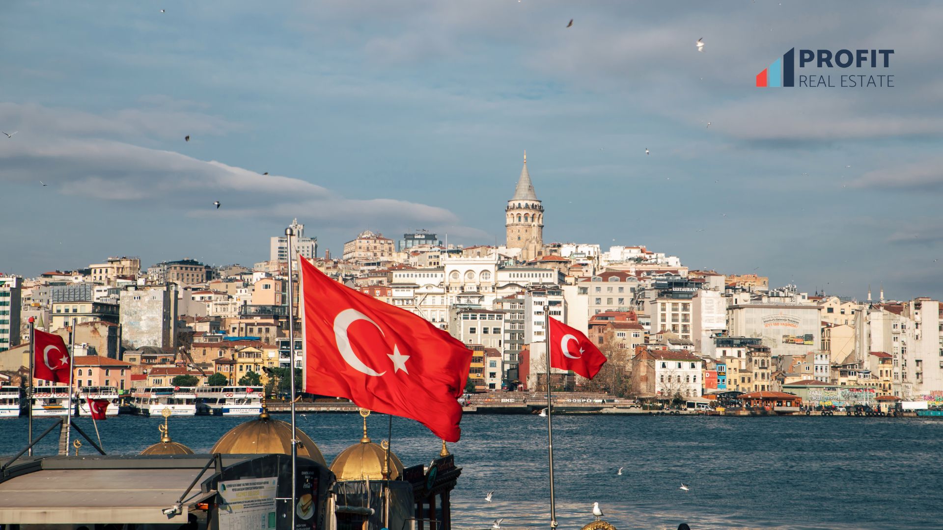 Причины ходатайства для получения кимлика и икамета в Турции