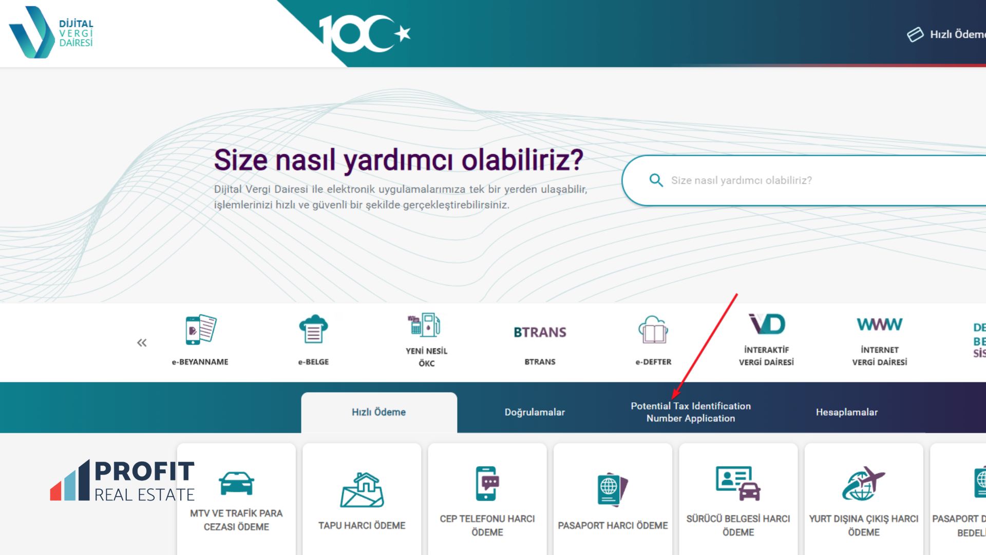 Вкладка Potential Tax Identification Number Application 