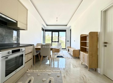 Укомплектованная квартира с одной спальней, 55м² с видом на горы в новом комплексе в Махмутларе, Алания ID-18310 фото-6