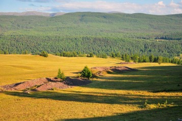 Самый старый ковер в мире, найденный на Алтае, принадлежал туркам фото-1