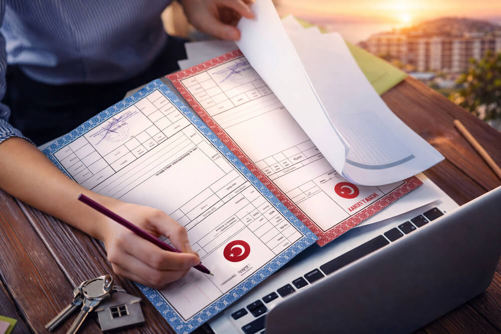 Турецкая терминология в ТАПУ: детальный разбор